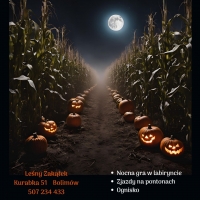 NOCNY LABIRYNT-GRA W TERENIE 25.10.2024