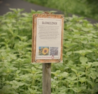 PRZYRODA WOKÓŁ NAS -89zł/os  (cena zawiera posiłek)